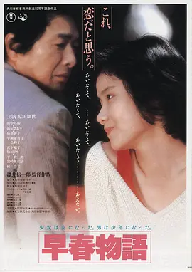 在线电影《雾港回声》海报